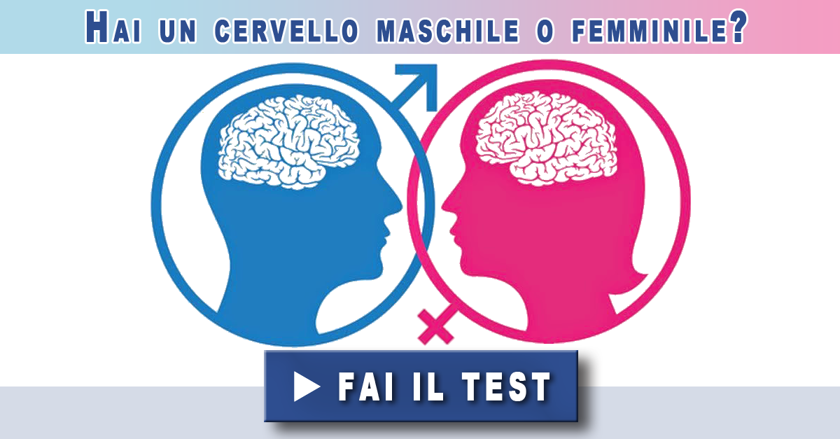 Hai un cervello maschile o femminile?